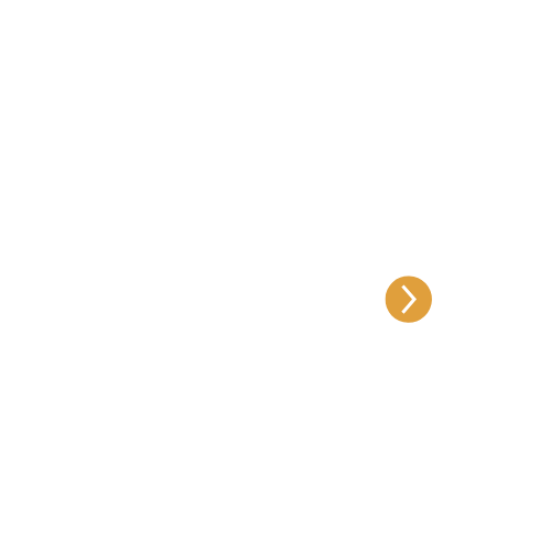 TRANSITION ADVISING