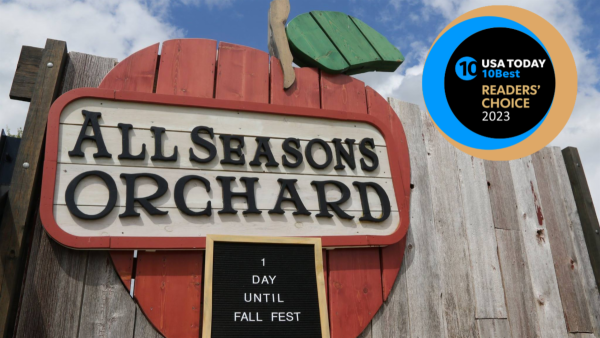 All Seasons Apple Orchard